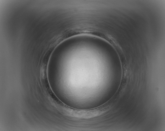 X0000081420026200701121247