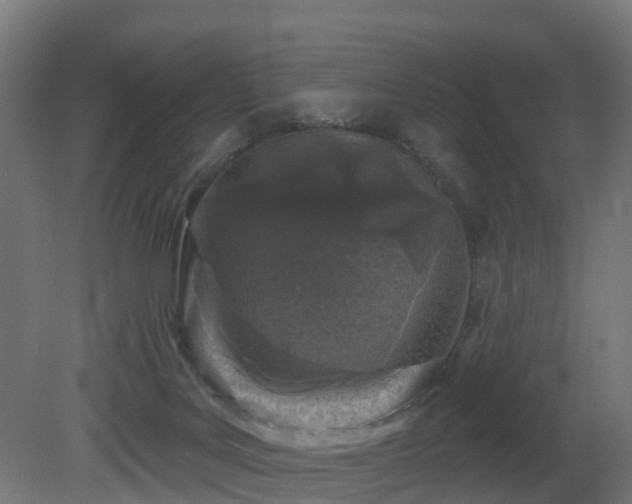 X0000081420027200701121247