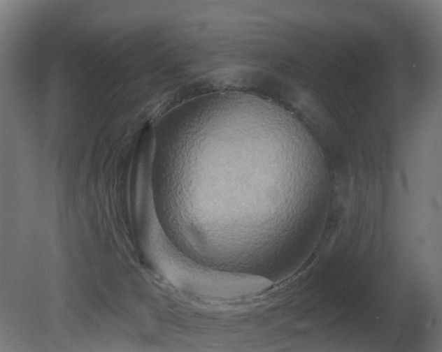 X0000081420029200701121247