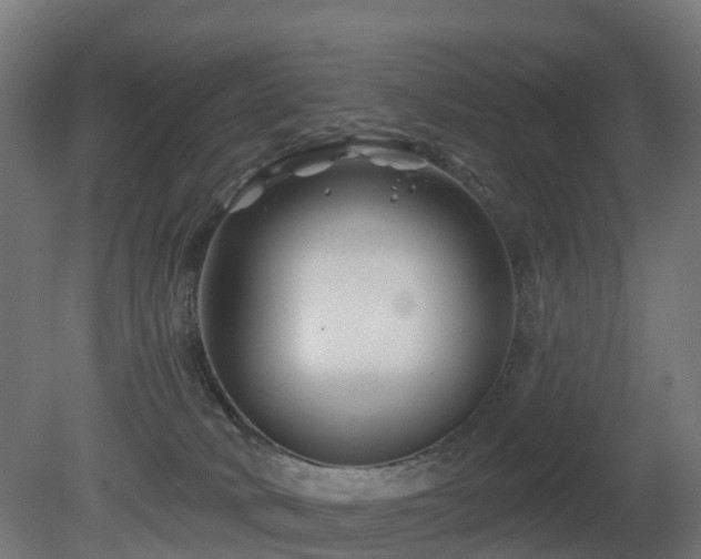 X0000081420034200701121247