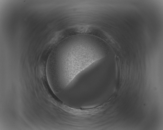 X0000081420035200701121247