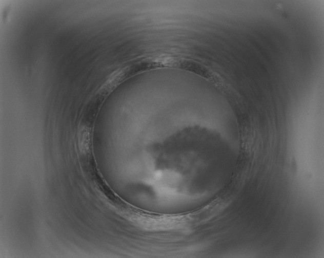 X0000081420036200701121247