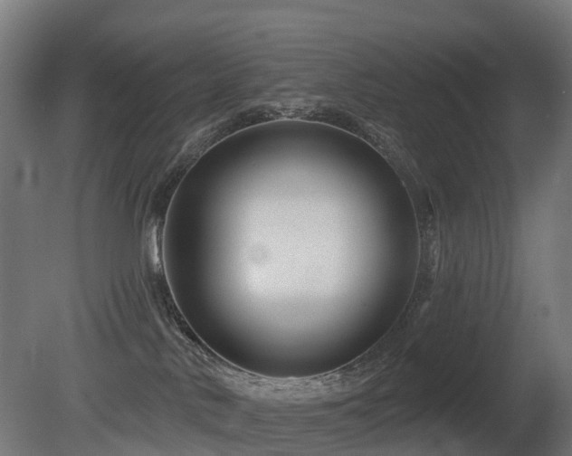 X0000081420042200701121247