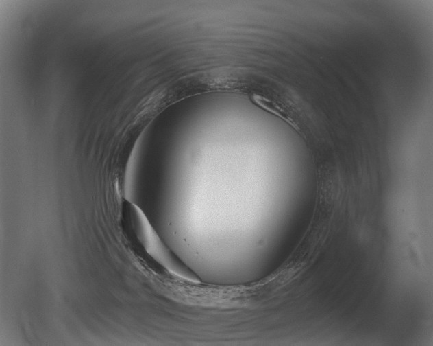 X0000081420044200701121247