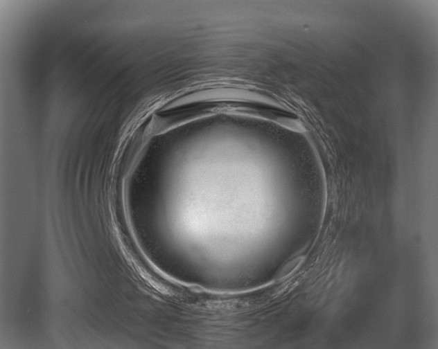 X0000081420049200701121246