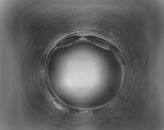 X0000081420050200701121246