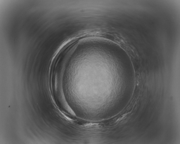 X0000081420052200701121246