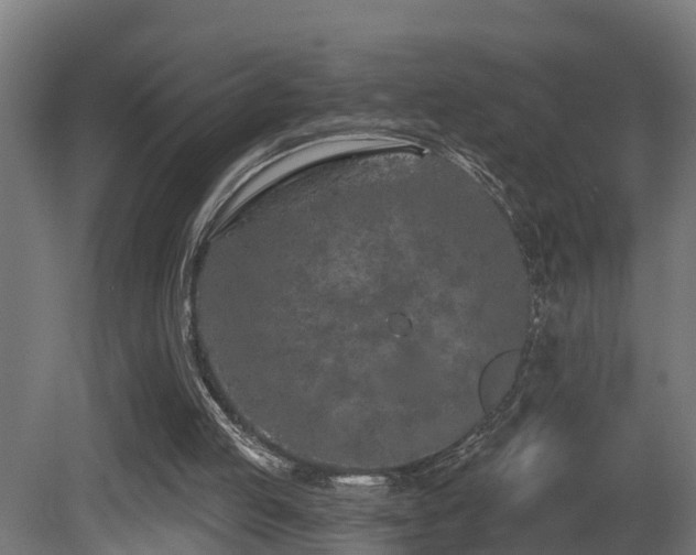 X0000081420053200701121246