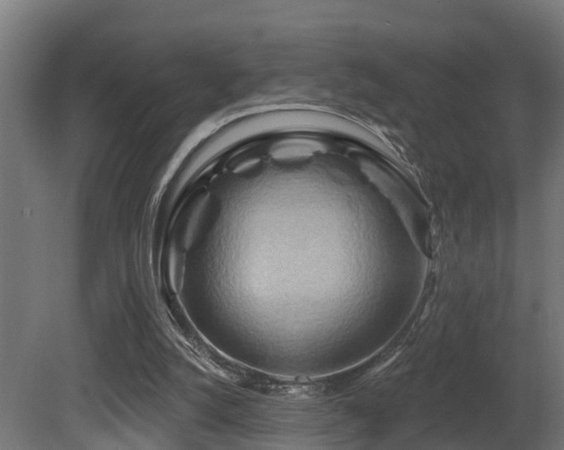 X0000081420056200701121246