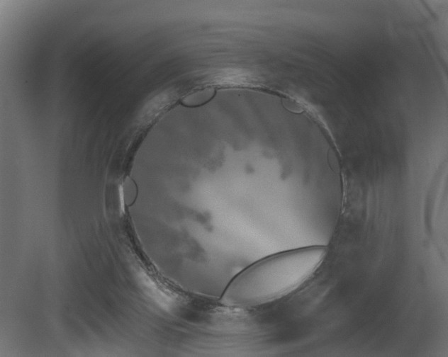 X0000081420061200701121246