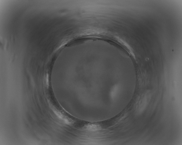 X0000081420067200701121247