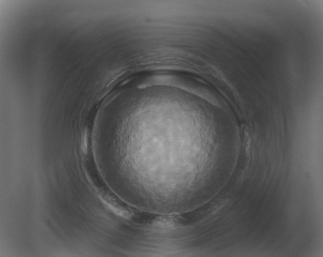 X0000081420076200701121247