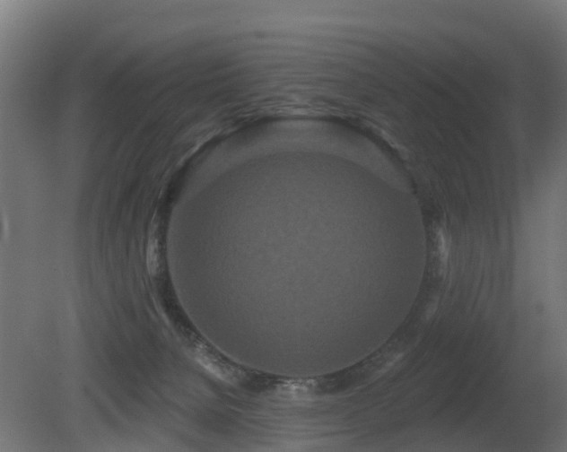 X0000081420080200701121247