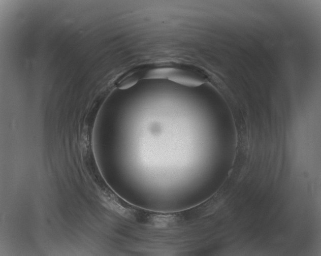 X0000081420085200701121247
