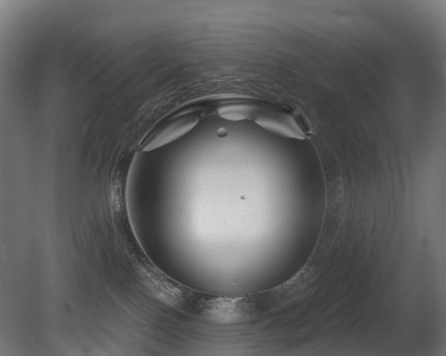 X0000081420090200701121247