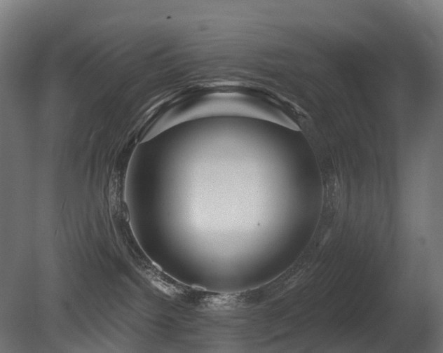X0000081420092200701121247