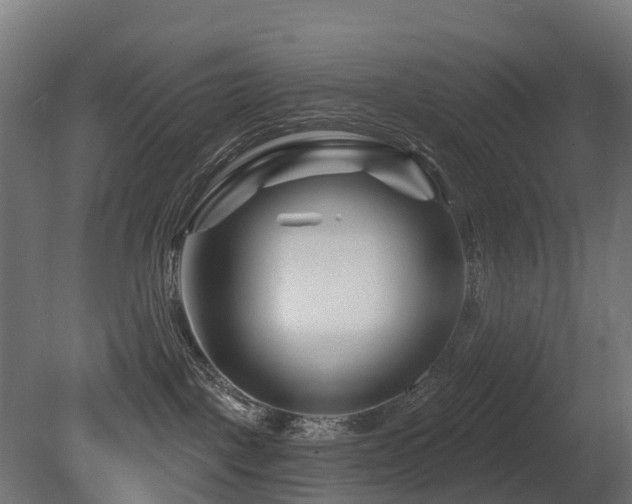 X0000081420093200701121247