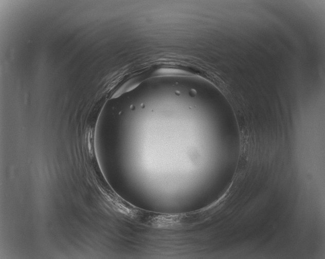 X0000081420094200701121247