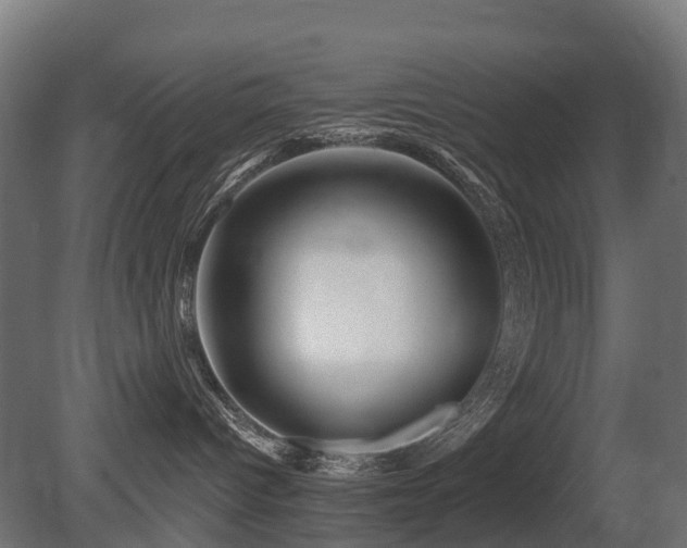 X0000081420096200701121247