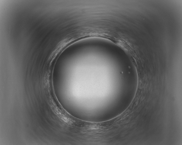 X0000081420098200701121246