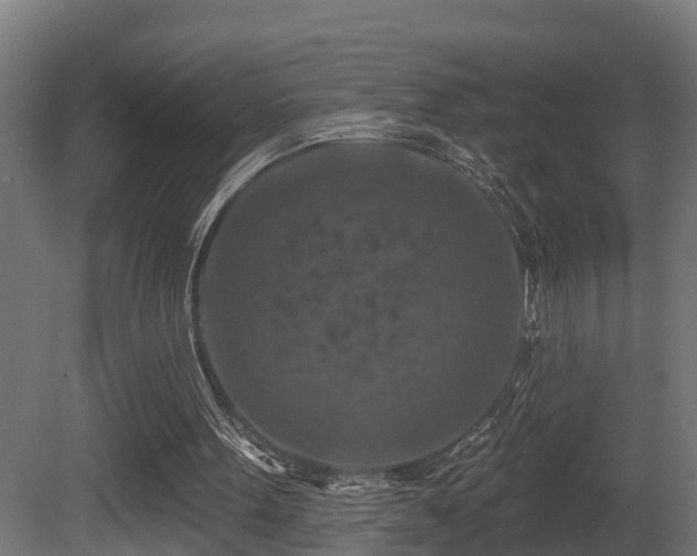 X0000081420099200701121246
