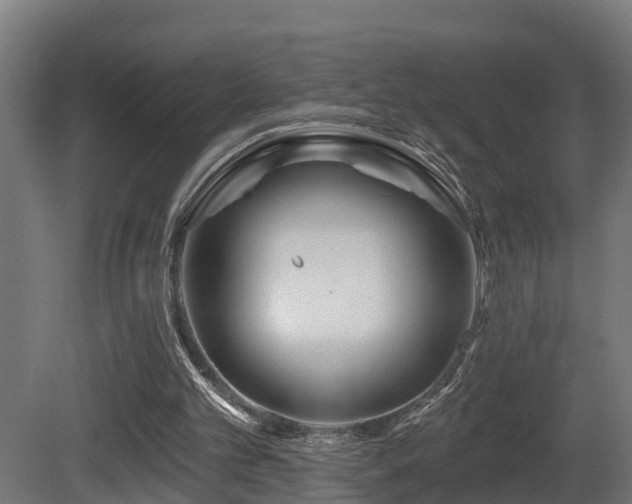 X0000081420101200701121246