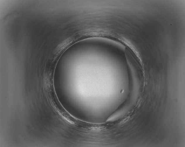 X0000081420105200701121246