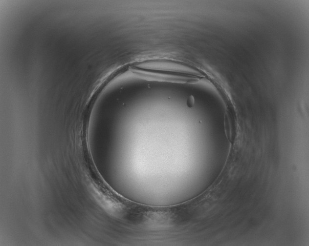 X0000081420107200701121246