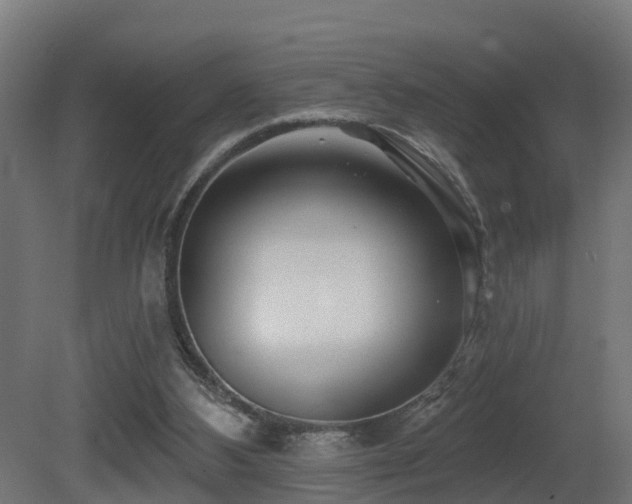 X0000081420108200701121246