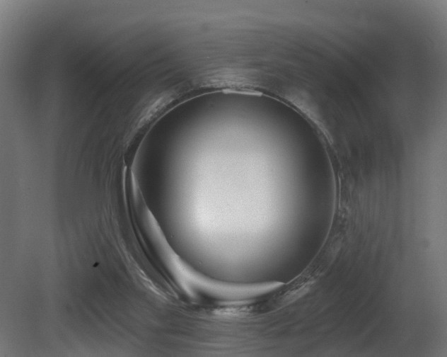 X0000081420109200701121246