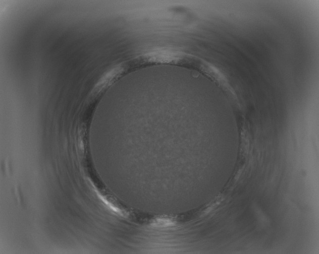 X0000081420114200701121246