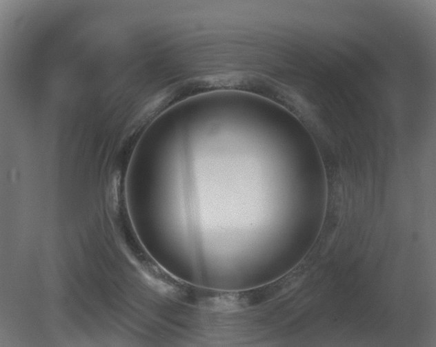 X0000081420118200701121246