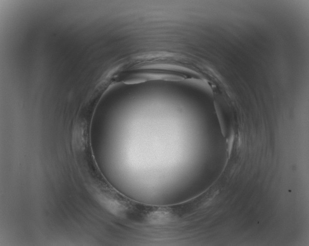 X0000081420119200701121246