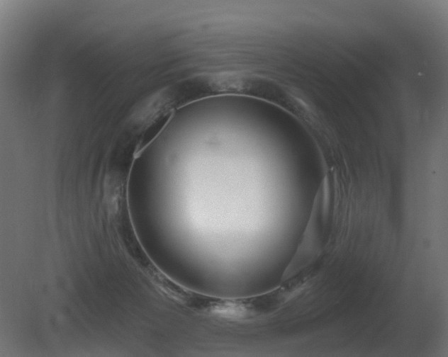 X0000081420125200701121246
