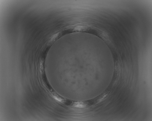 X0000081420127200701121246