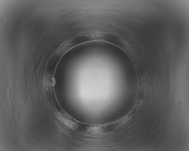 X0000081420140200701121246