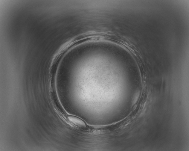 X0000081420149200701121245