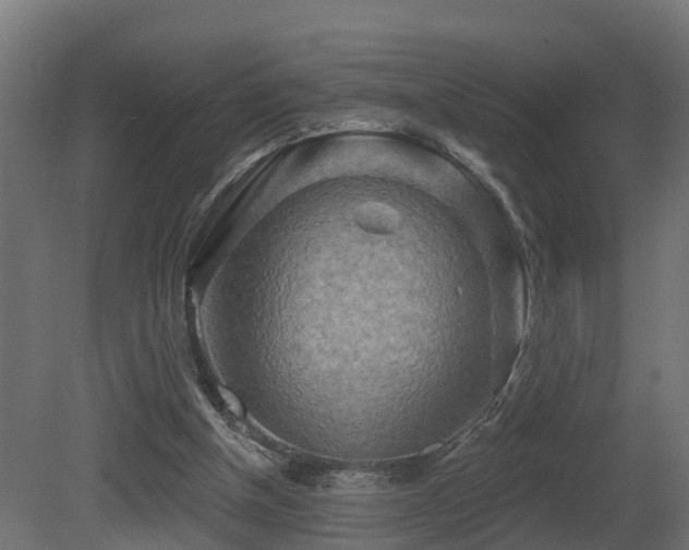 X0000081420154200701121245