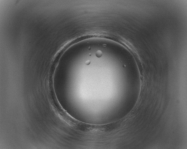 X0000081420155200701121245