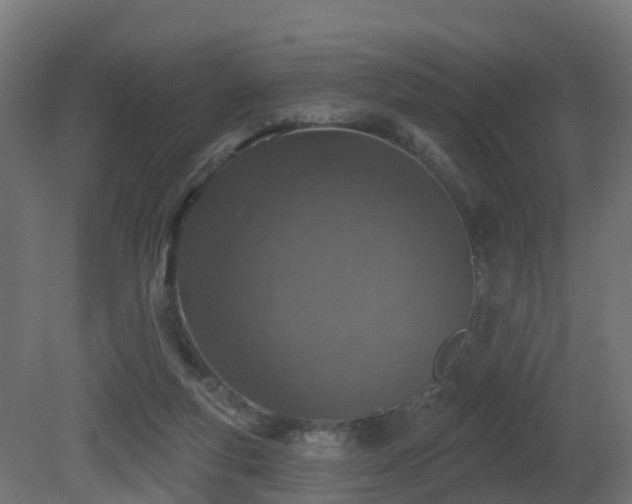 X0000081420163200701121245