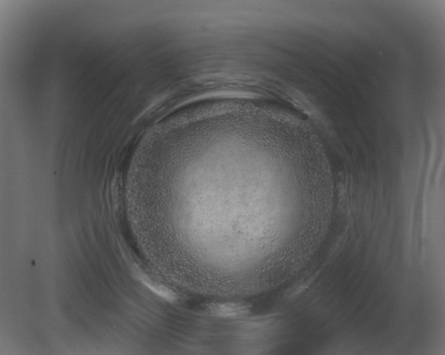 X0000081420165200701121245