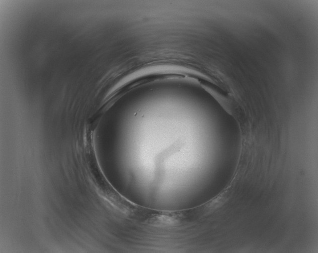 X0000081420166200701121245