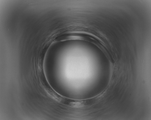 X0000081420170200701121245