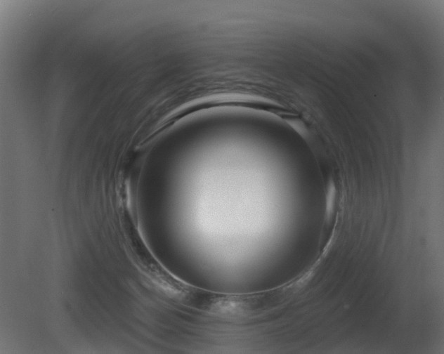 X0000081420174200701121245