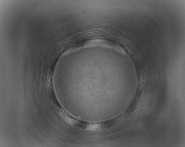 X0000081420177200701121245