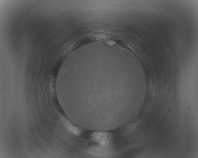 X0000081420181200701121245