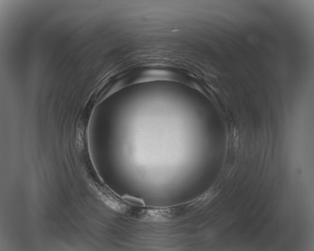X0000081420188200701121245