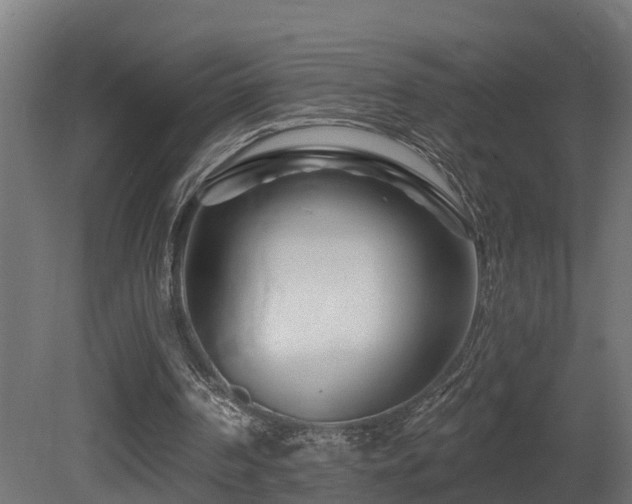 X0000081420194200701121245