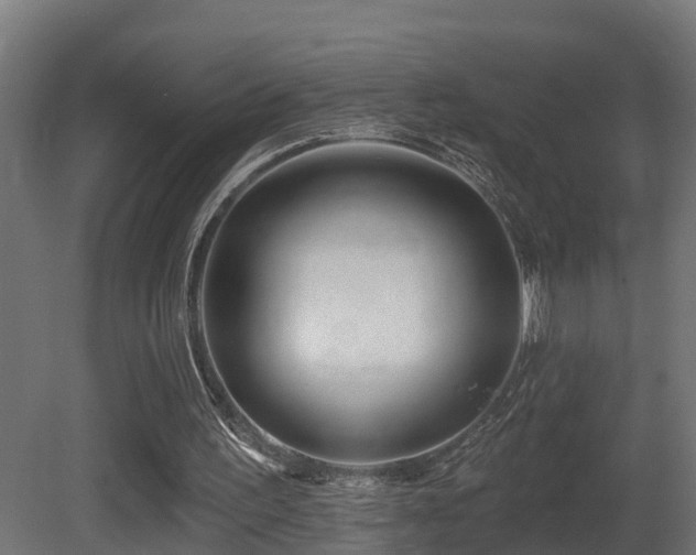 X0000081420195200701121245