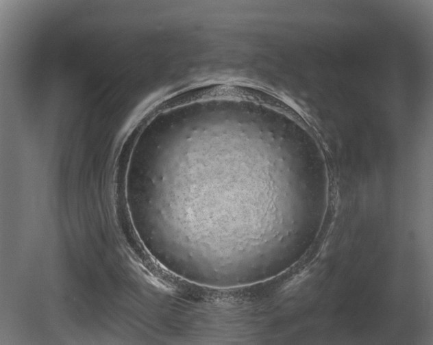 X0000081420199200701121245